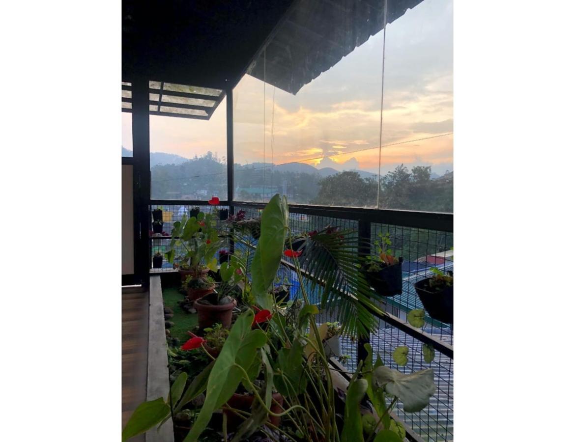 Birdwing Cottage, Homestay