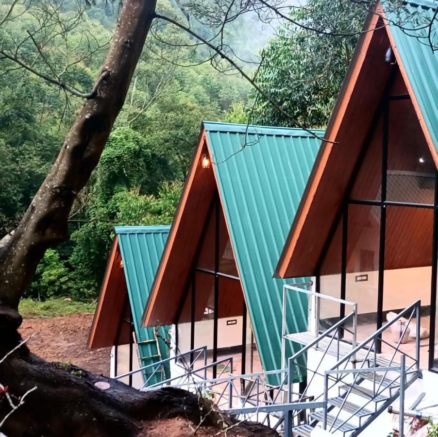 Vattavada Jungle Munnar