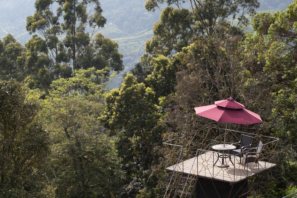 Resort Sterling Munnar