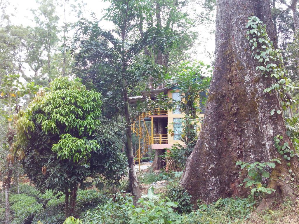 Jungle Jive Tree House 3*
