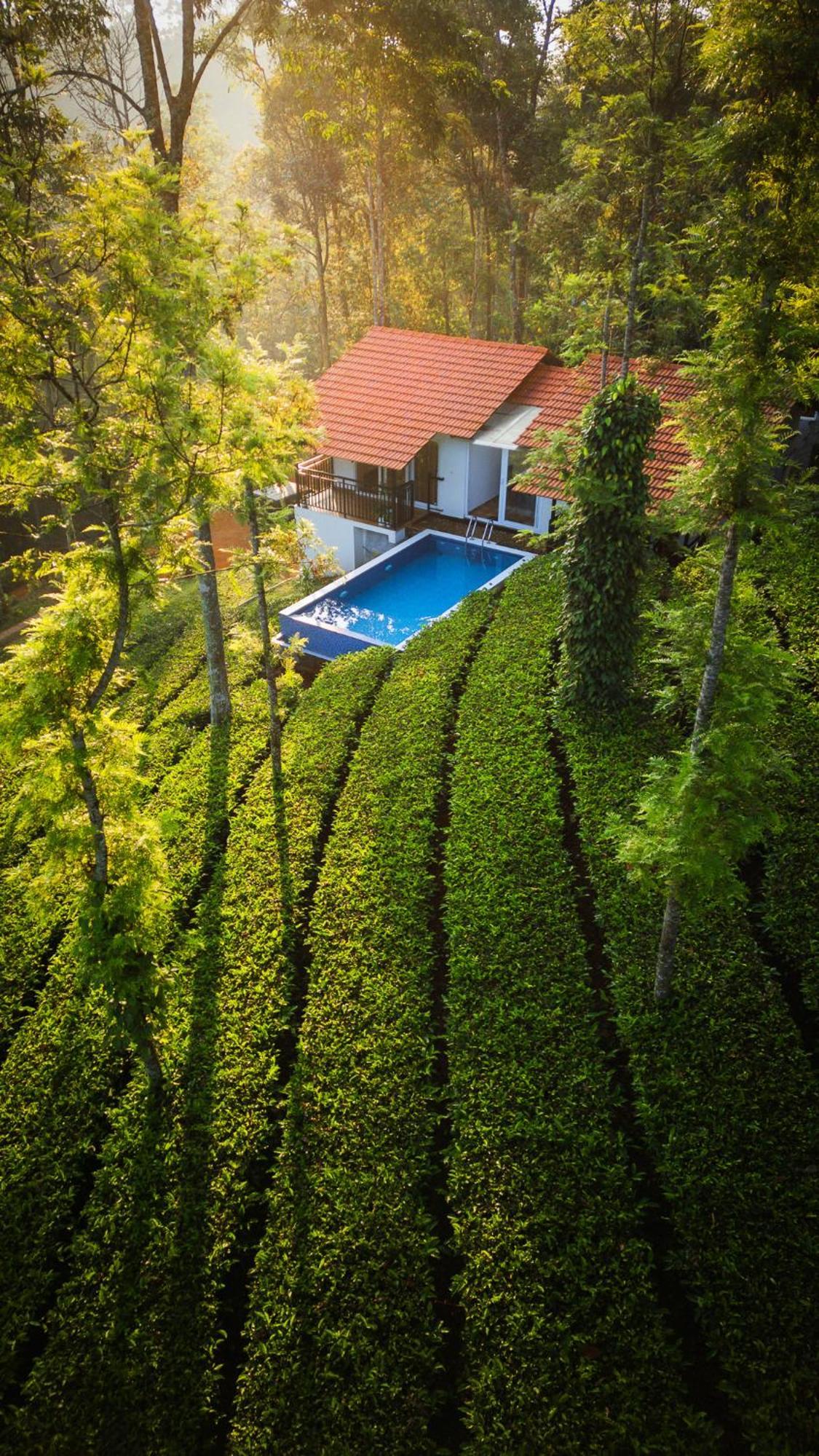 Bed & Breakfast Tealawn Pool Villa, Munnar