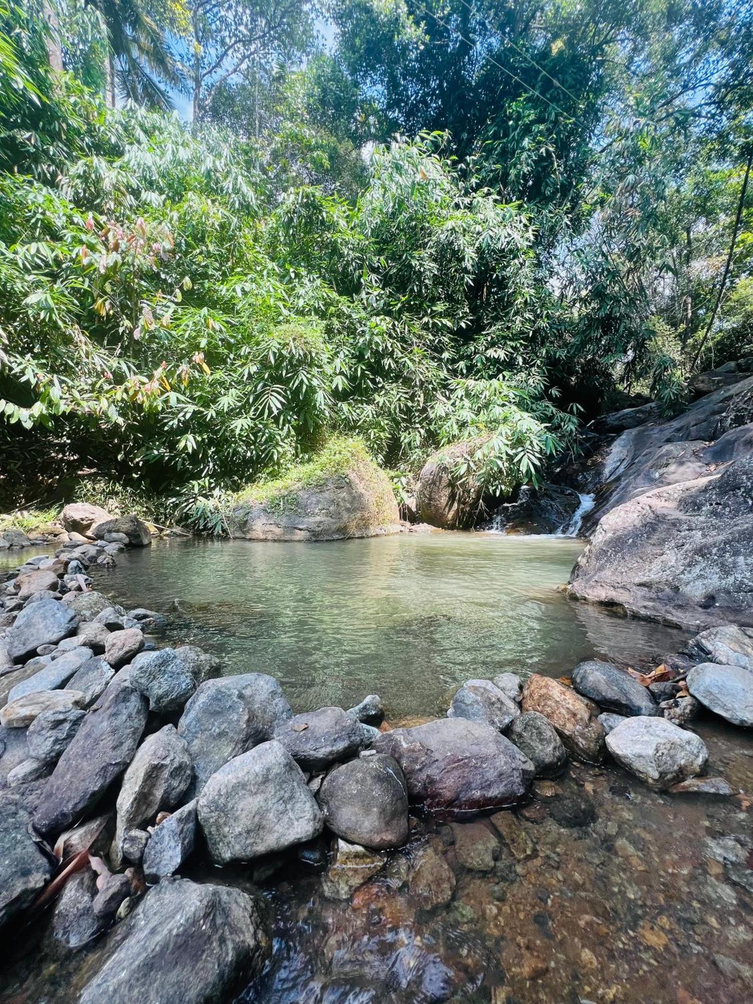 Guest house Mount Court Munnar
