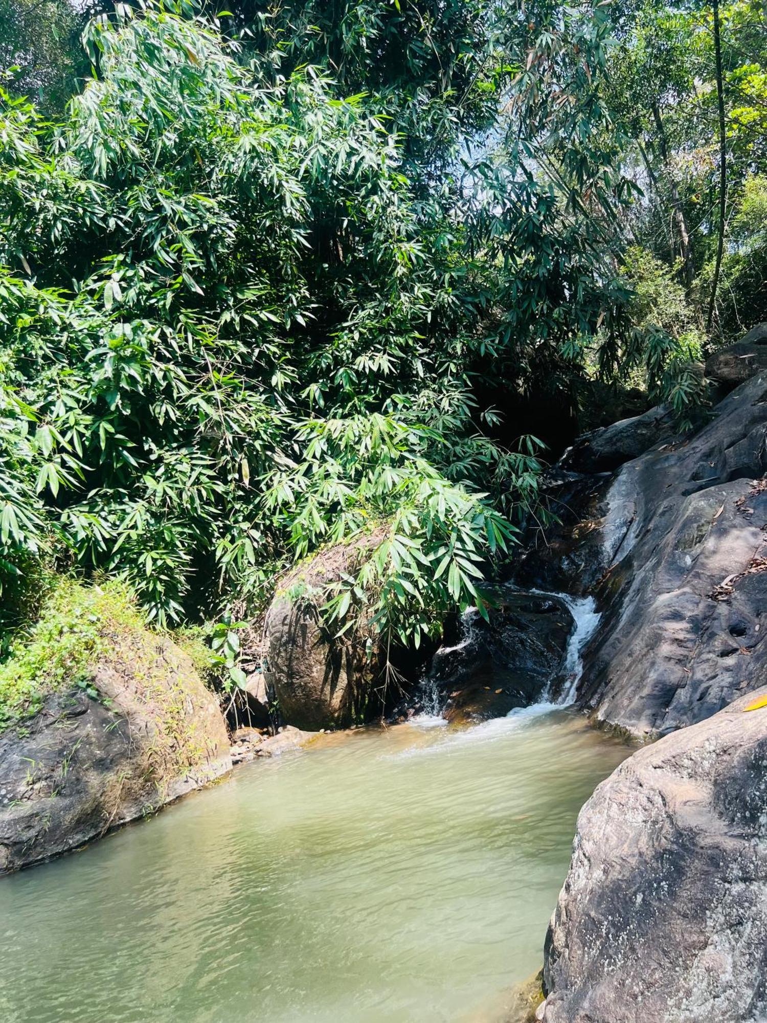 Mount Court * Munnar