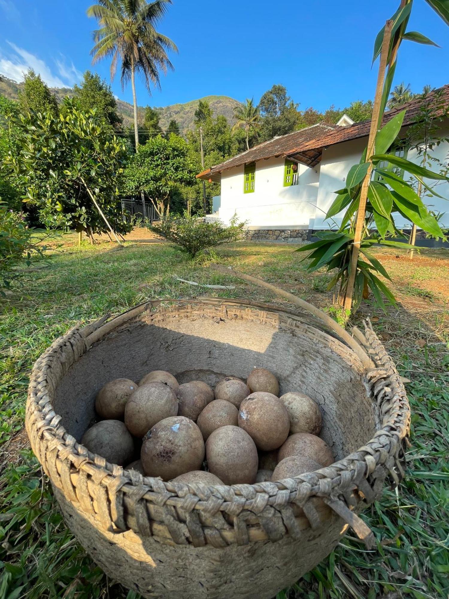 Farm stay Calm Shack - 2 Bedroom-boutique Farm