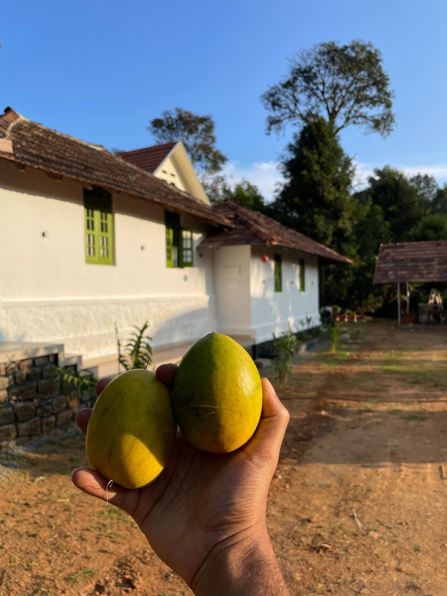 Farm stay Calm Shack - 2 Bedroom-boutique Farm Munnar
