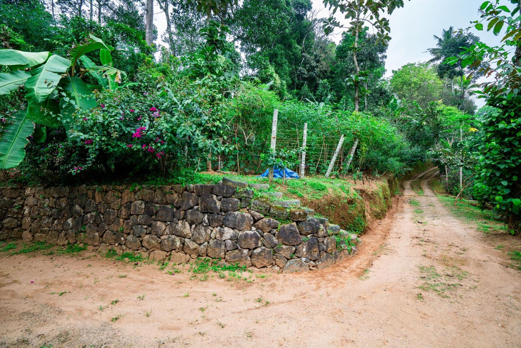 Nature Routes Lodge *