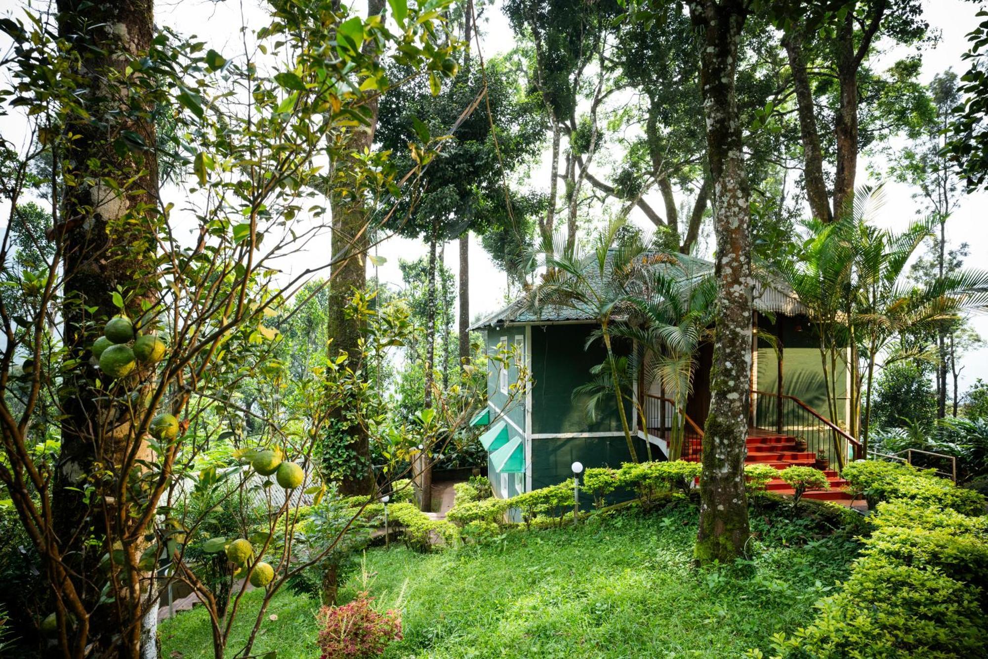 Hotel Blue Bells By Maat Munnar