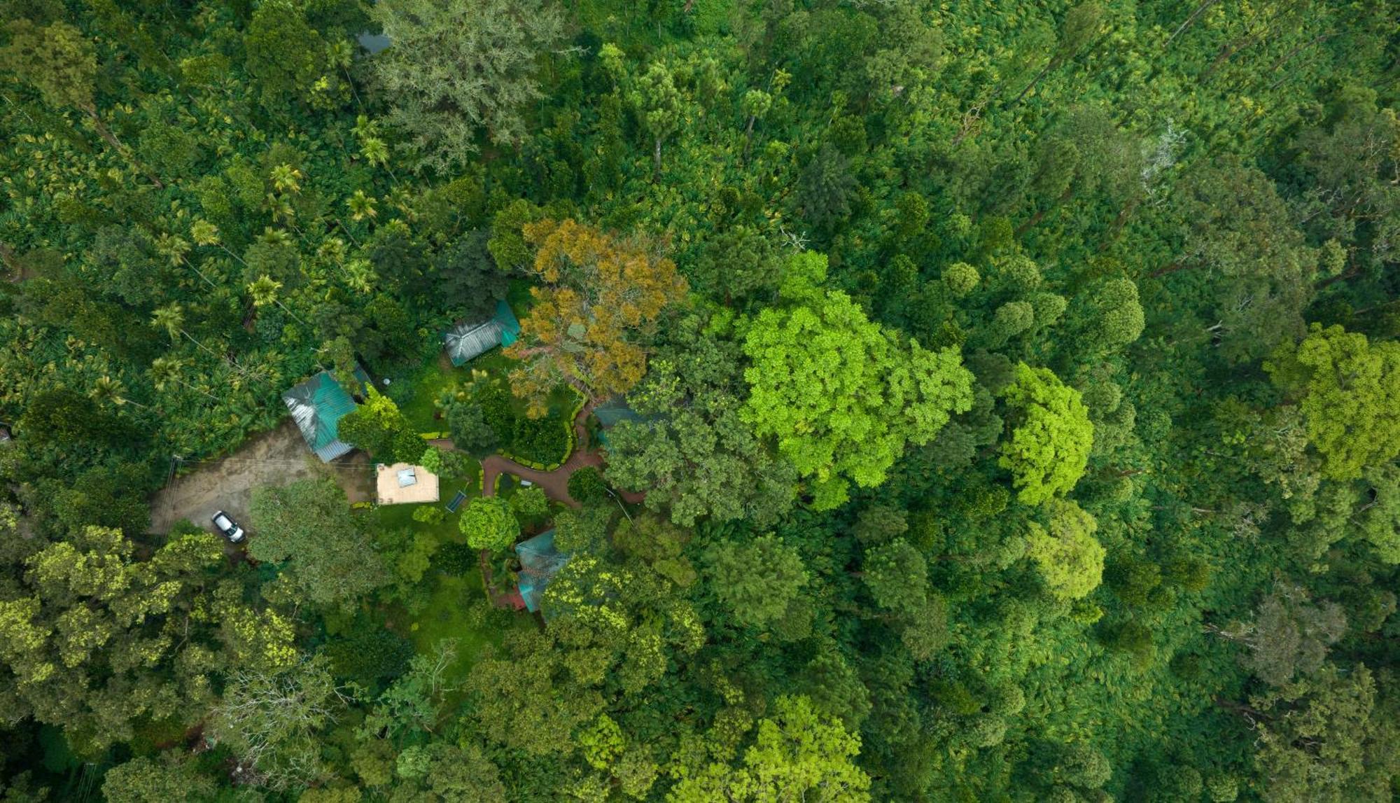 Hotel Blue Bells By Maat Munnar