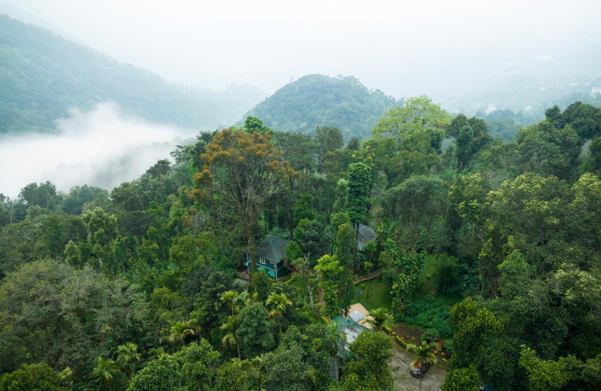 Blue Bells By Maat 3* Munnar