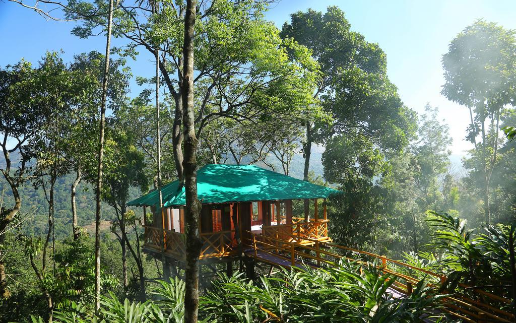 Dream Catcher Plantation Munnar