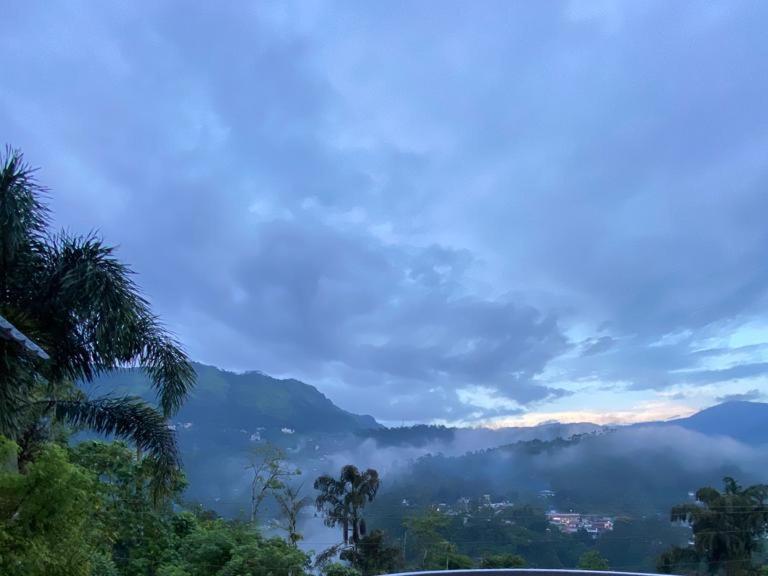 Blue Mist 3* Munnar