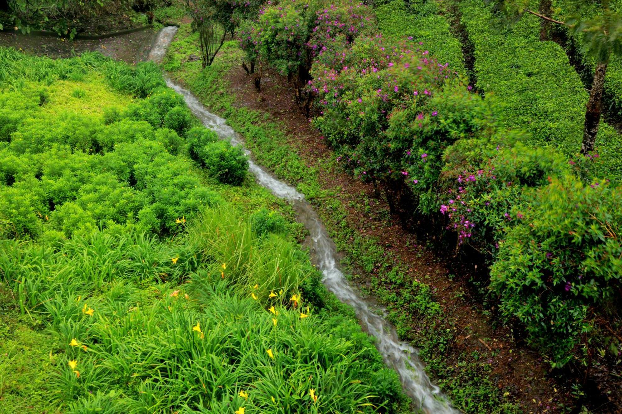 Resort Camelot Munnar