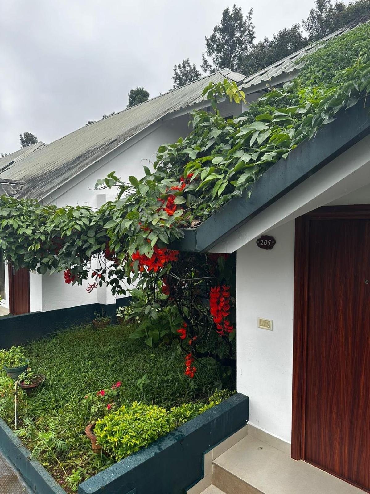 Tea Hills - Mthr Resort 4*