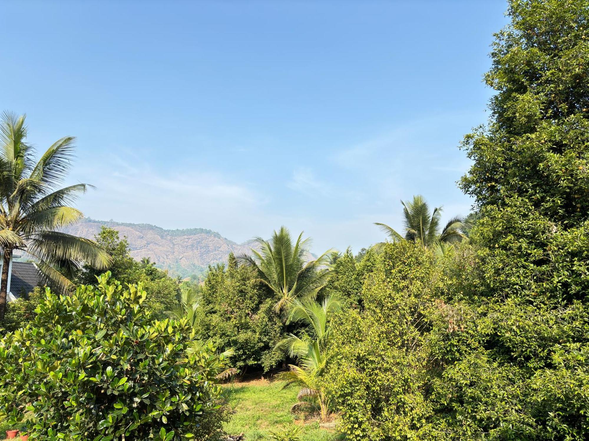 Farm stay Calm Shack - 2 Bedroom-boutique Farm Munnar