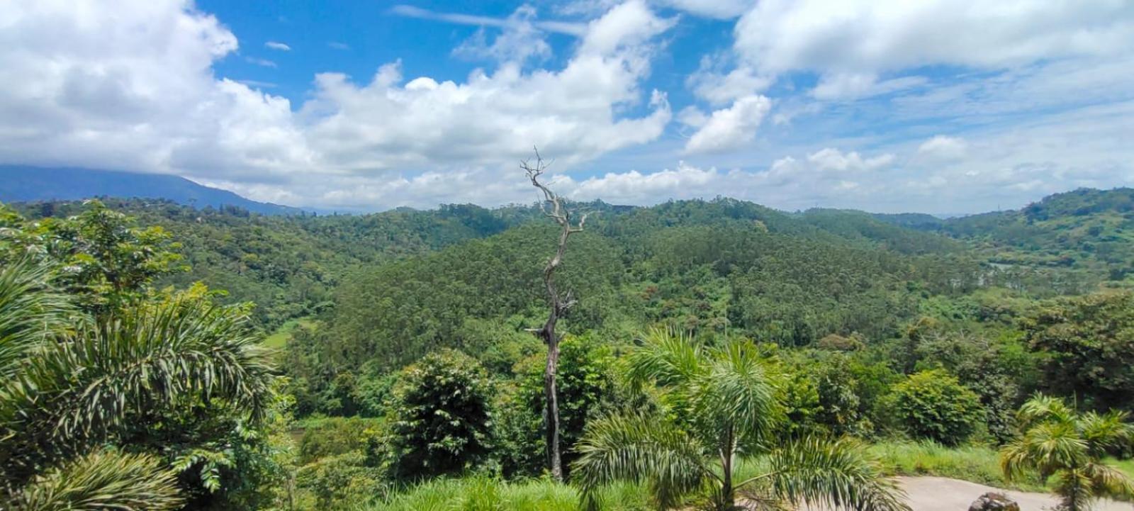 The View Hotel Munnar