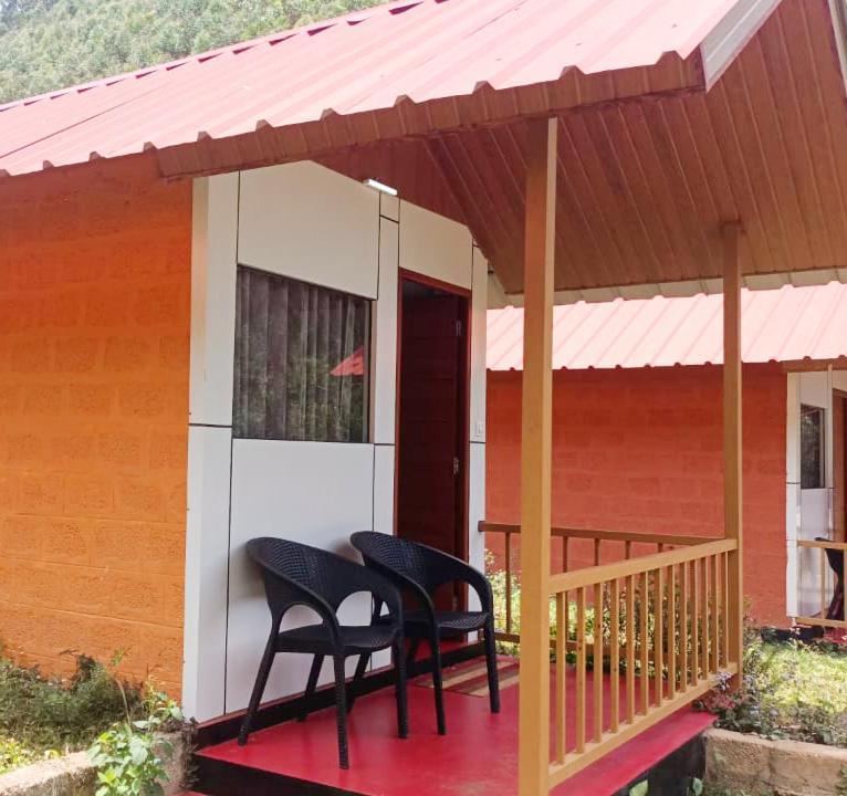 Vattavada Jungle * Munnar