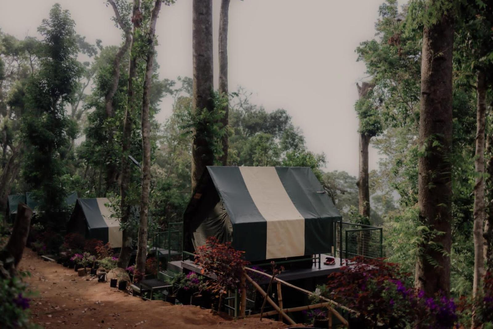 Wonderwoods Tent Camping Luxury tent *