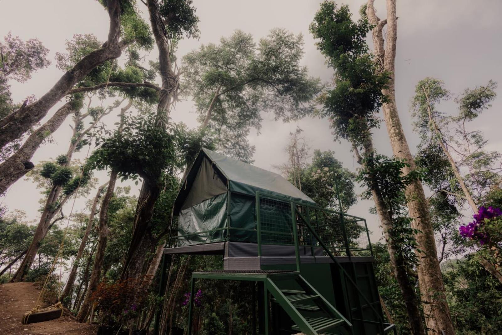 Luxury tent Wonderwoods Tent Camping Munnar