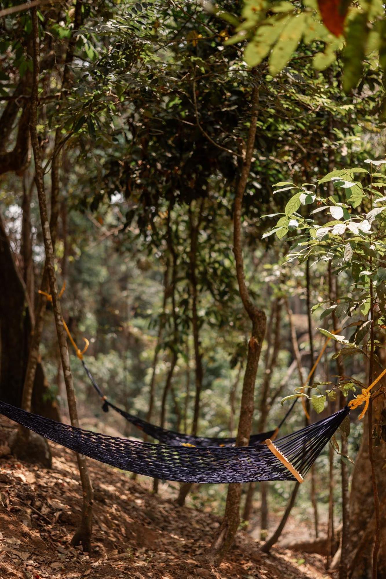 Wonderwoods Tent Camping Luxury tent Munnar
