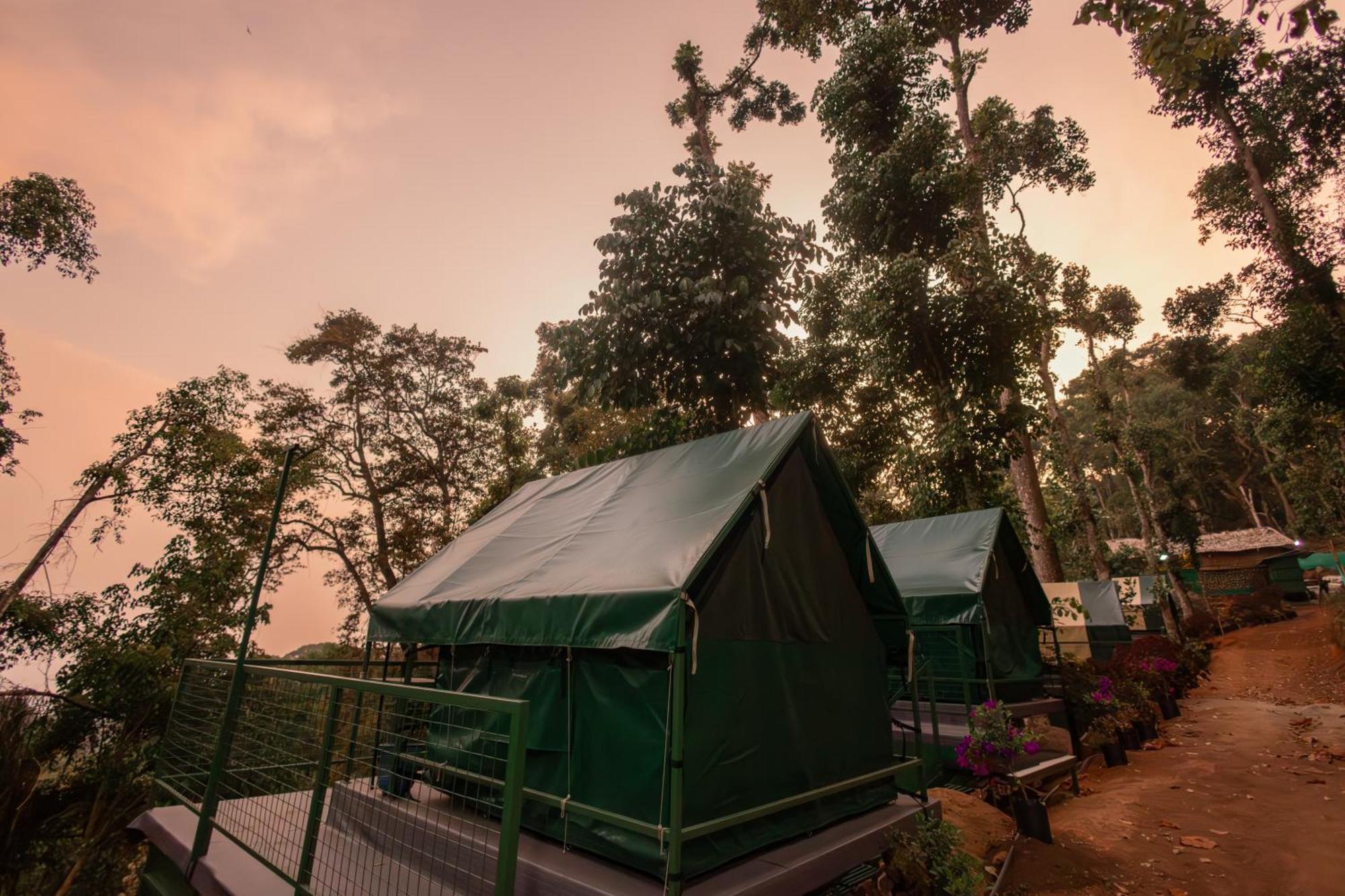 Luxury tent Wonderwoods Tent Camping *