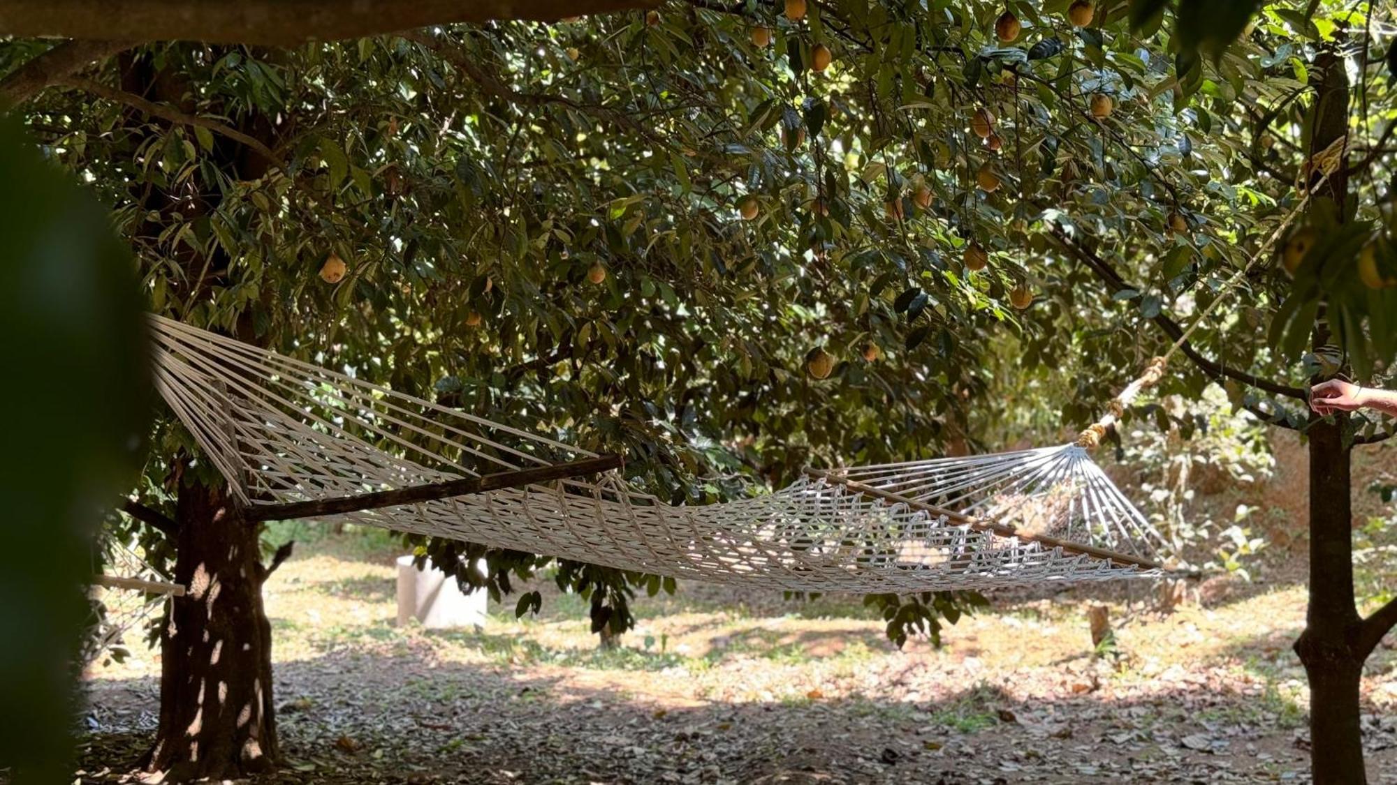 Calm Shack - 2 Bedroom-boutique Farm Munnar