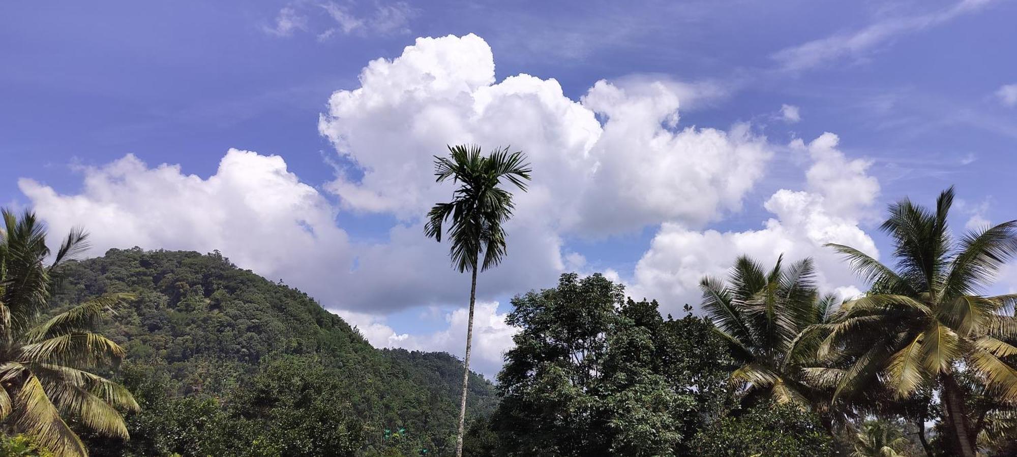 Homestay Himadri Holidays