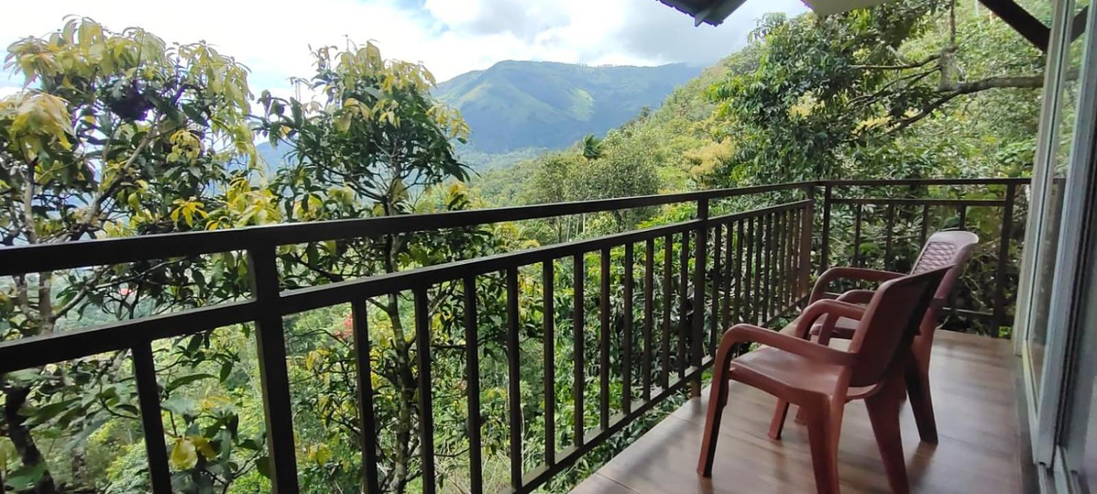 The View 4*