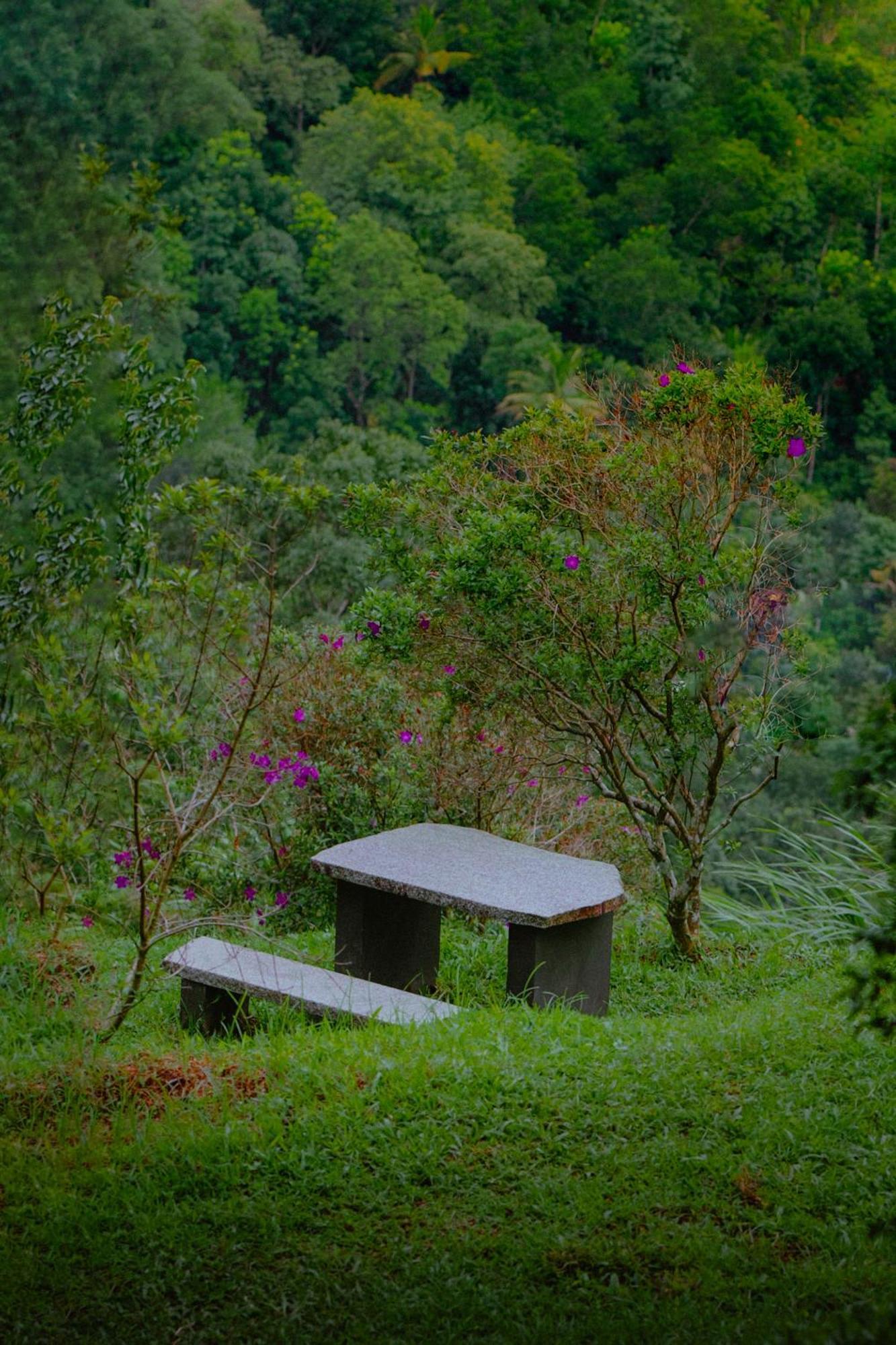 Resort Haze And Kites Munnar