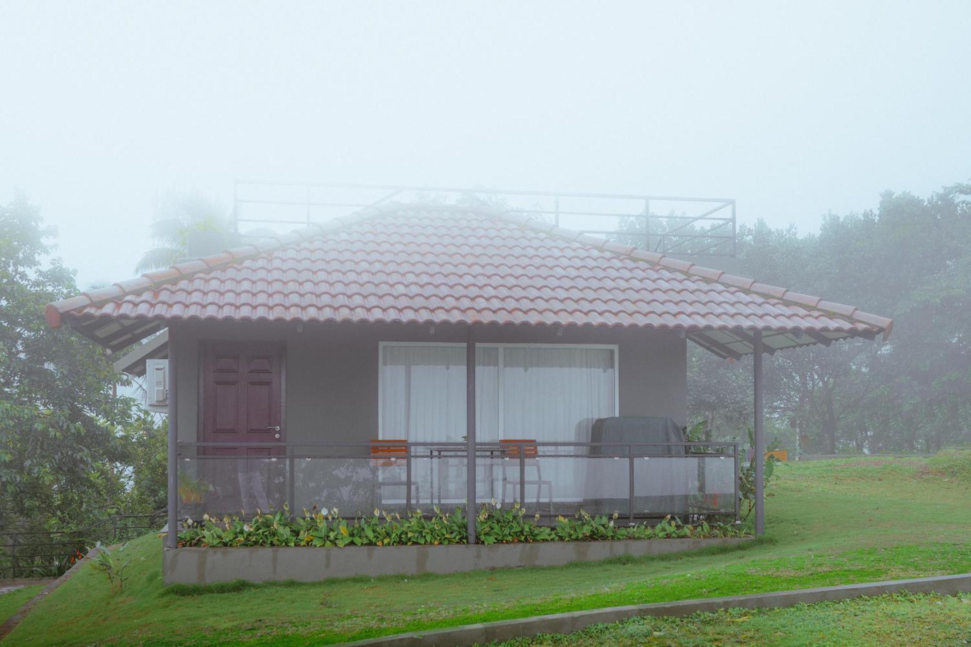 Haze And Kites Munnar