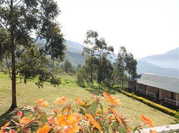Green Jungle Holiday 3*
