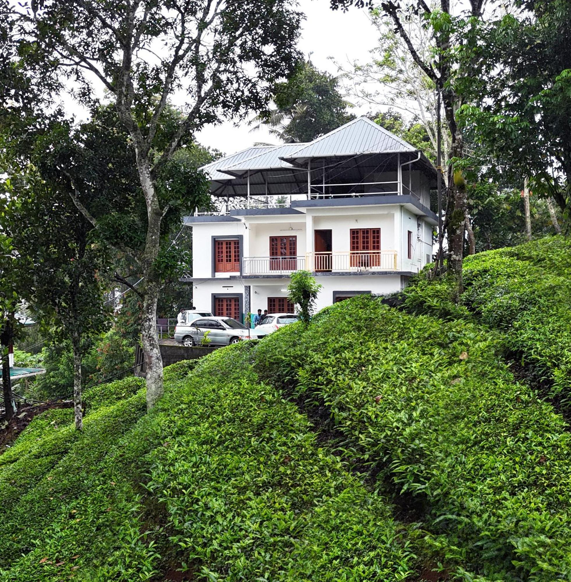 Tea Haze In Munnar