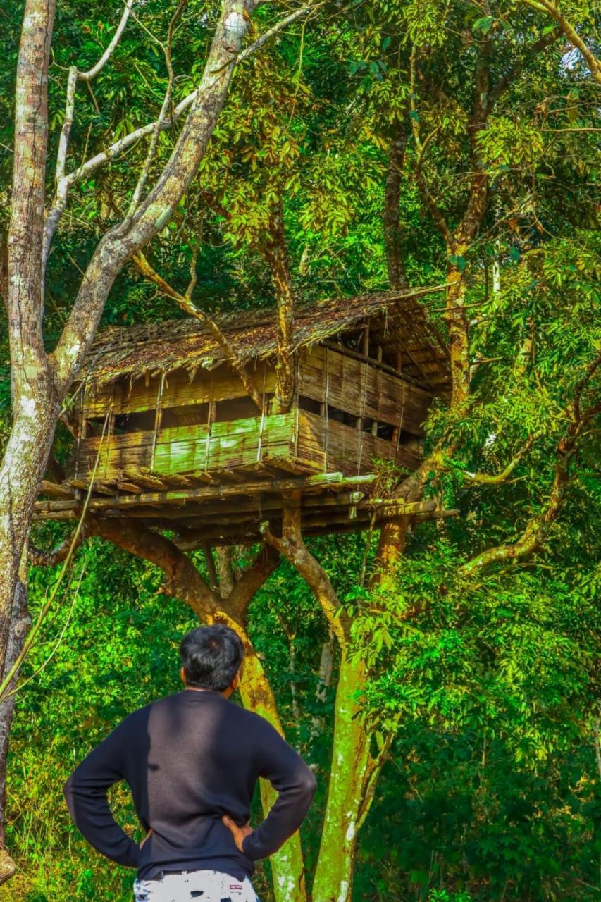 Beyond Eco Living