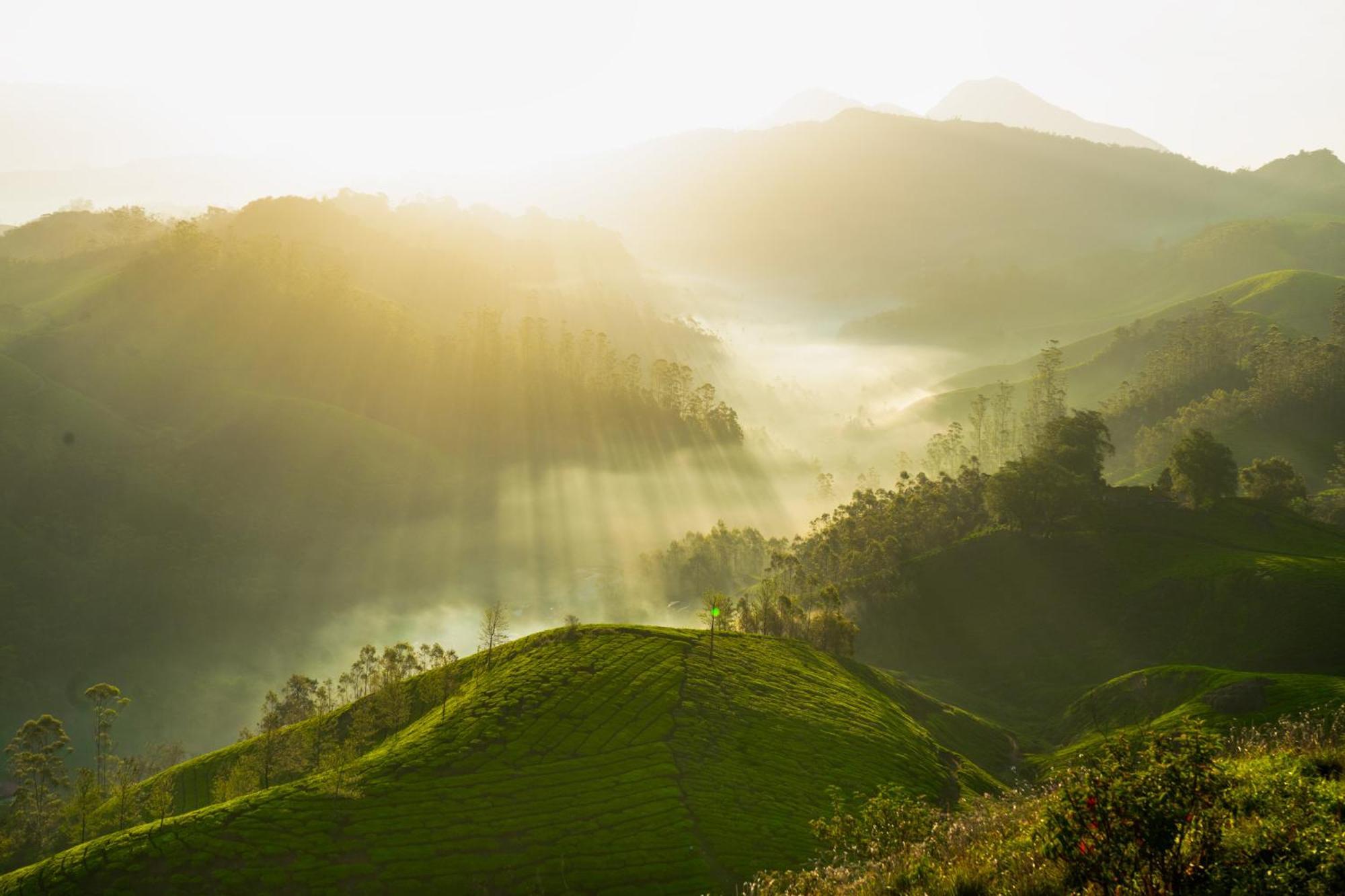 Camelot Resort Munnar