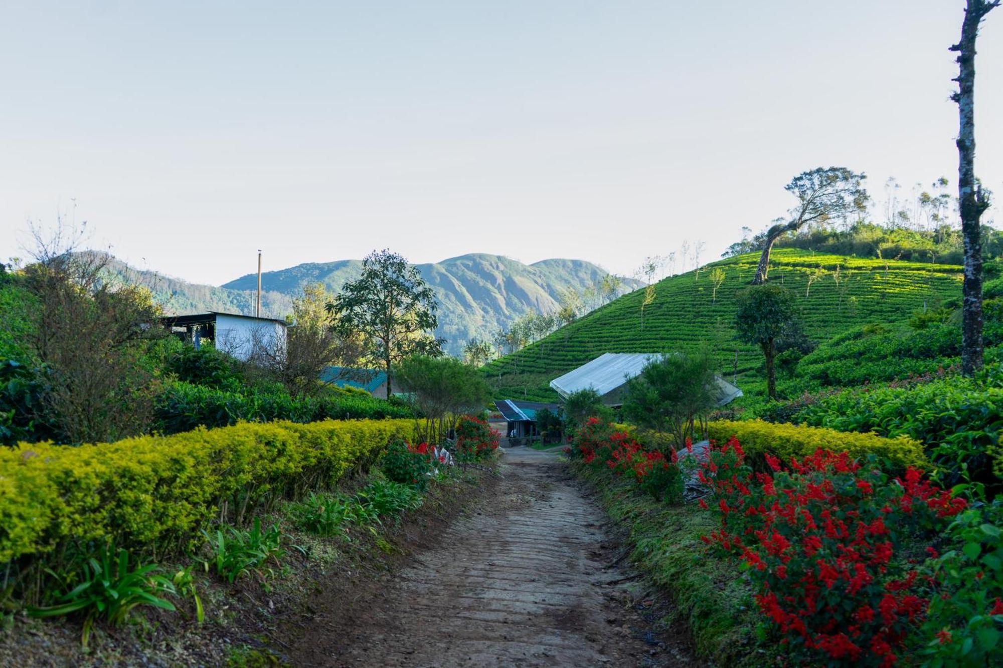 Resort Camelot Munnar