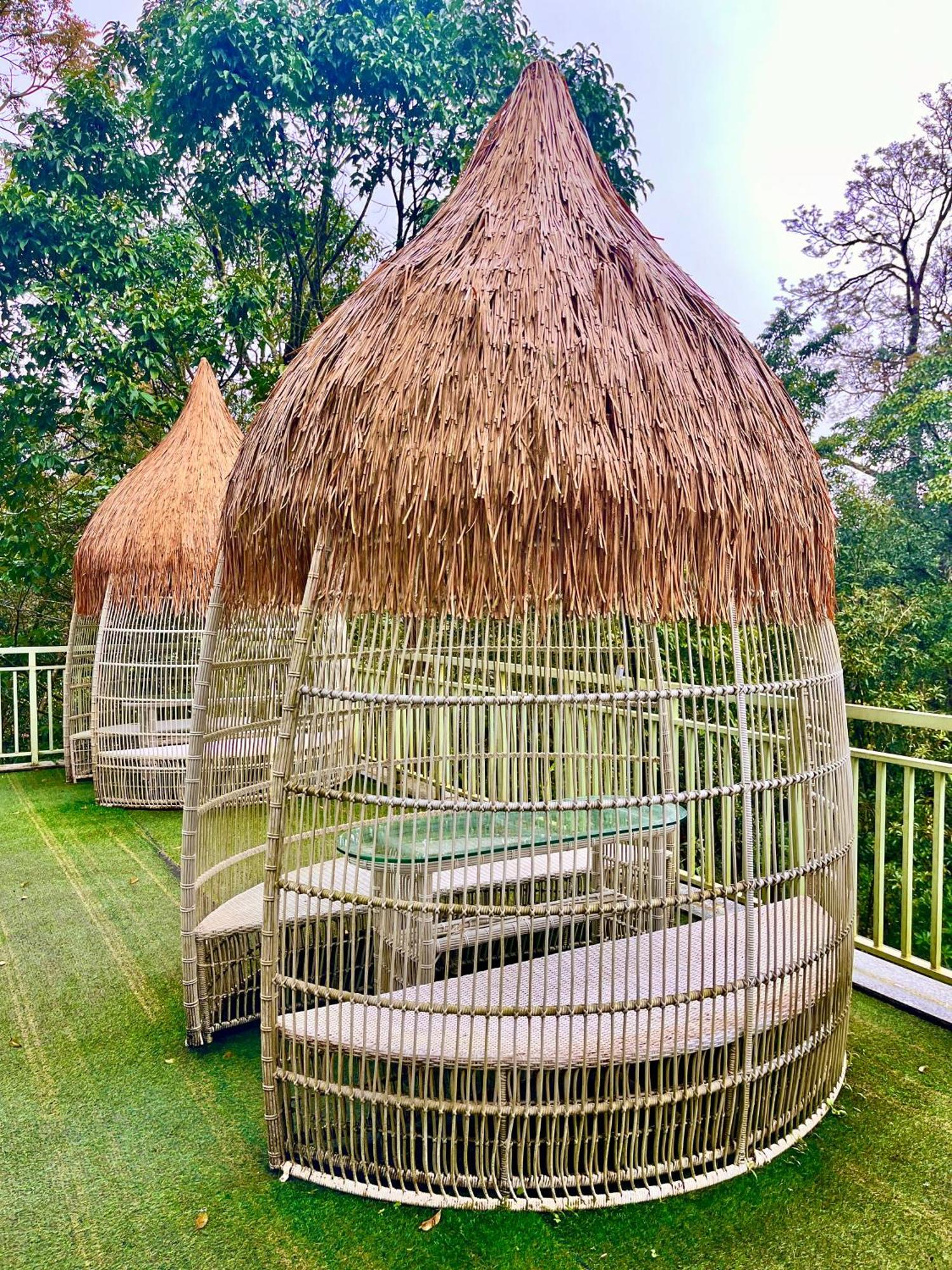 Hotel The Misty By Four Season - A Hidden M88827-10692 Munnar