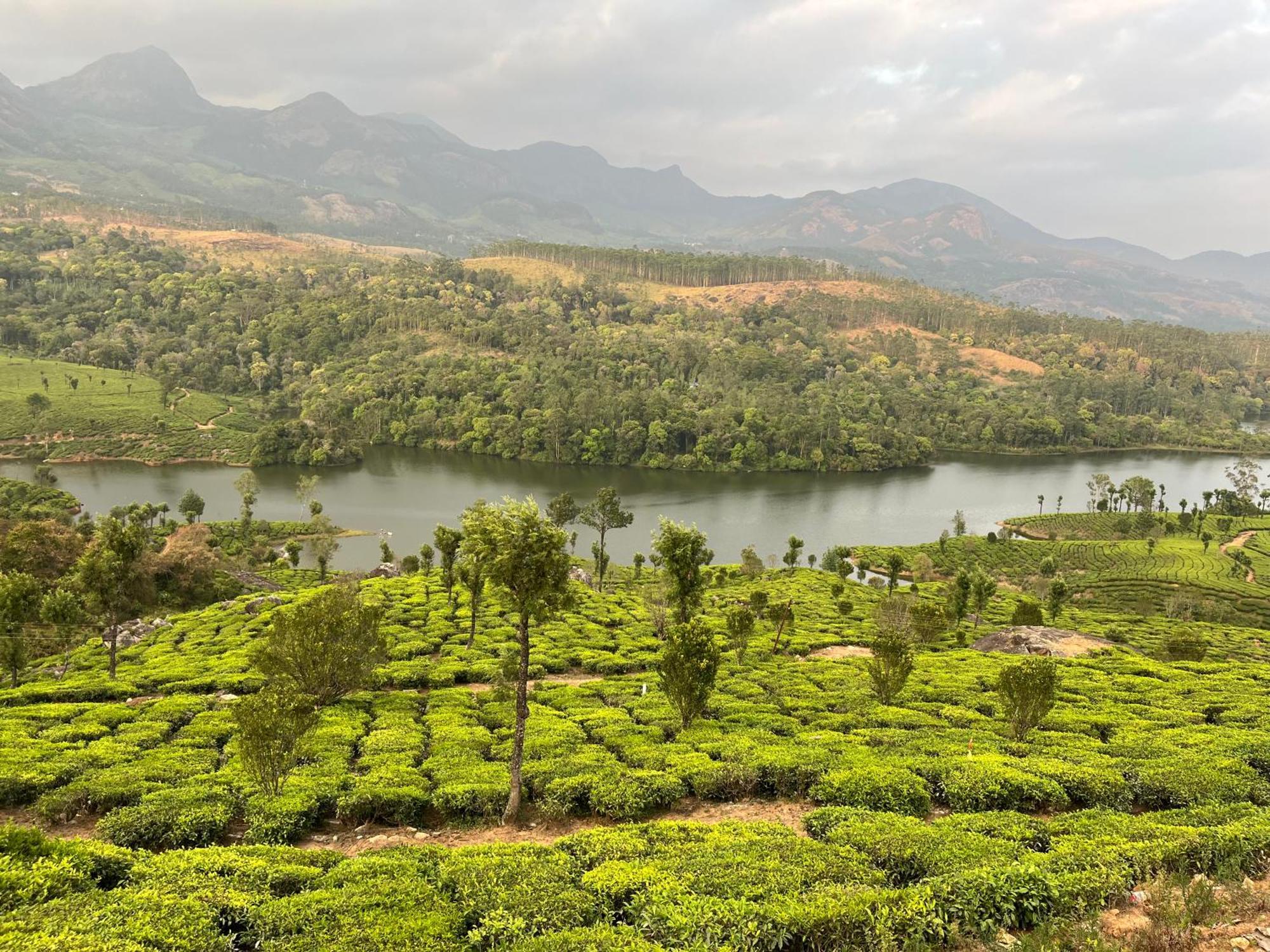 Rima Leisure Suryanelli Holiday home Munnar