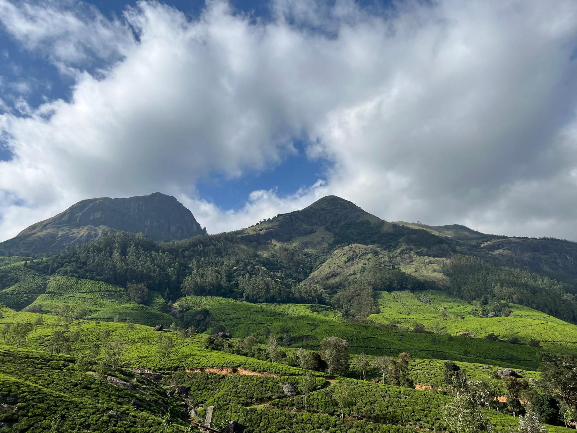Rima Leisure Suryanelli Munnar