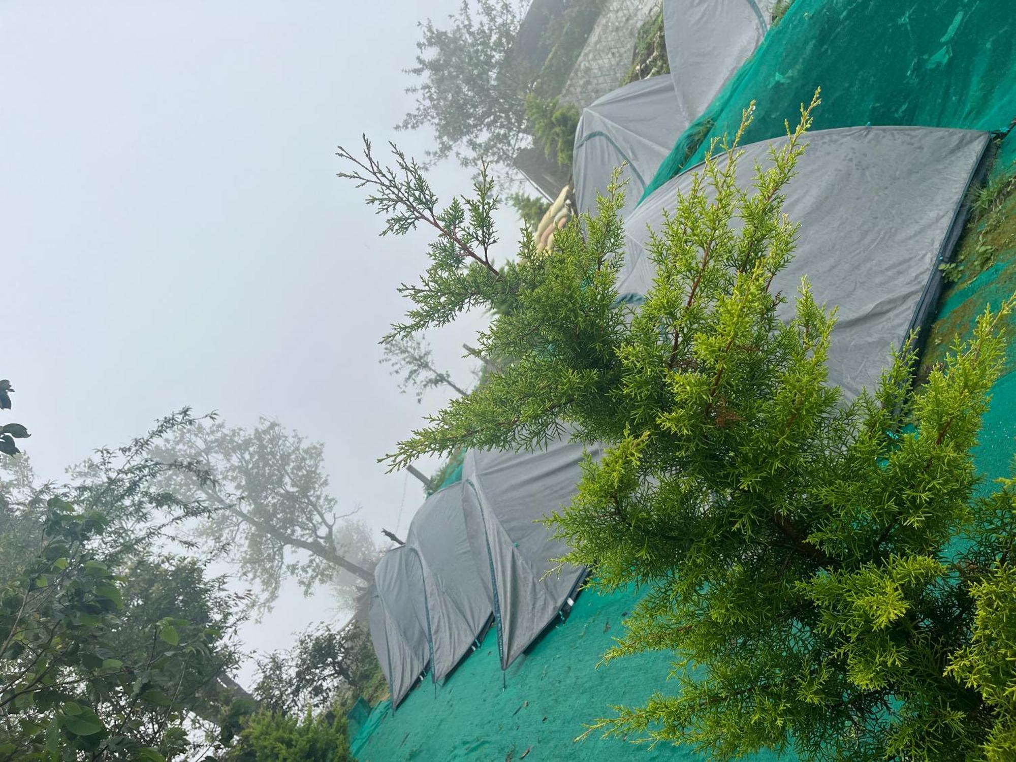 Rima Leisure Suryanelli * Munnar