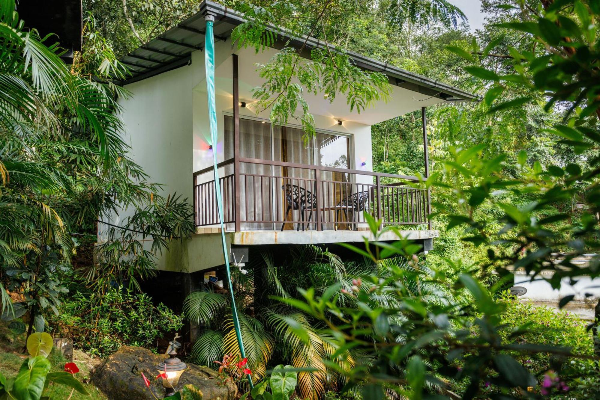 Wild Stories Hotel 3*