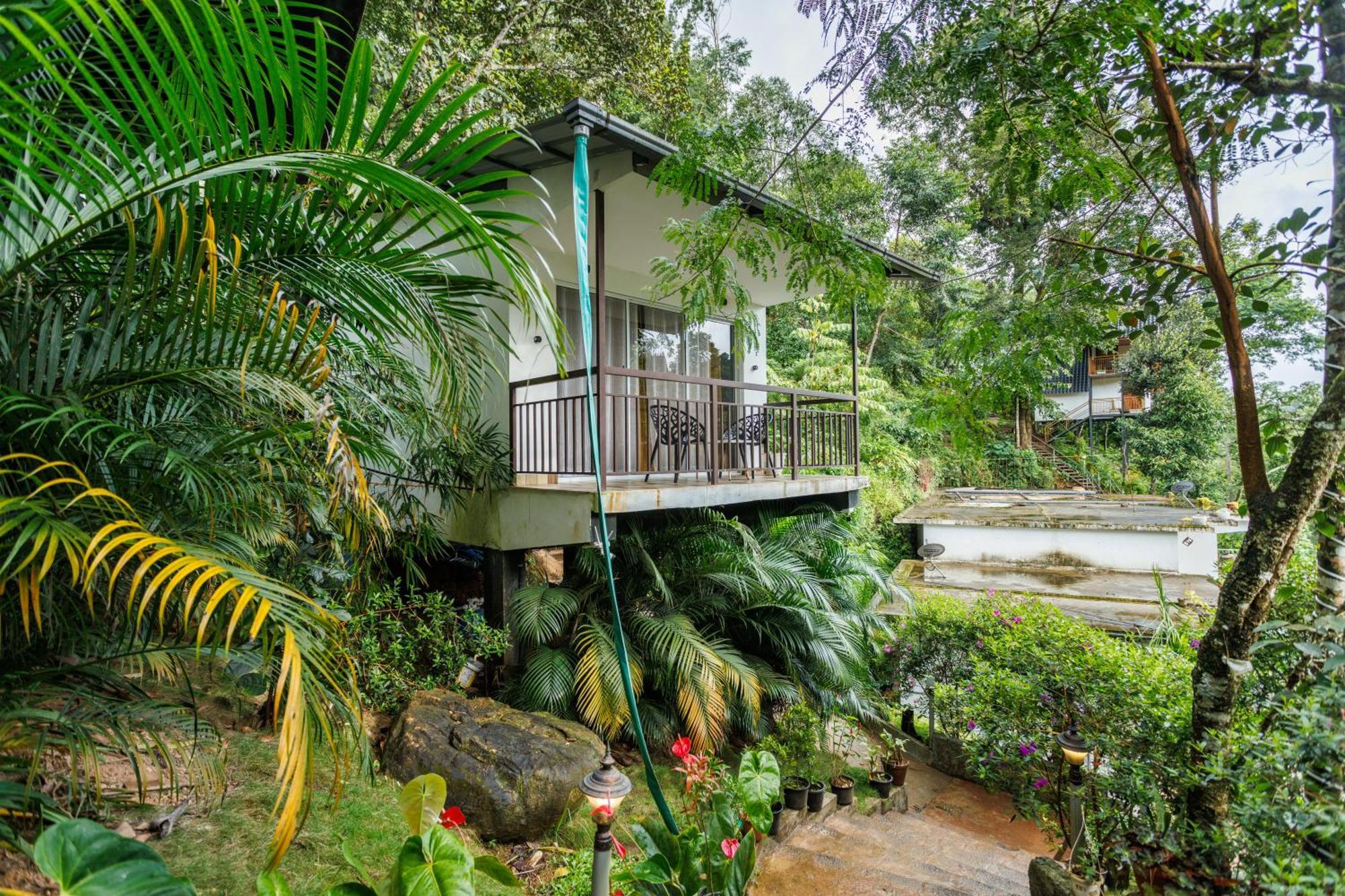 Wild Stories Hotel 3*