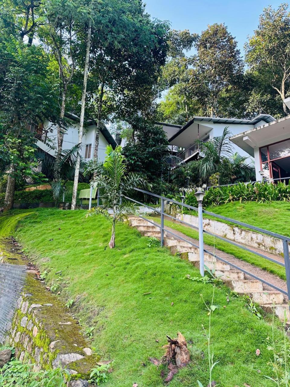 Wild Stories Hotel