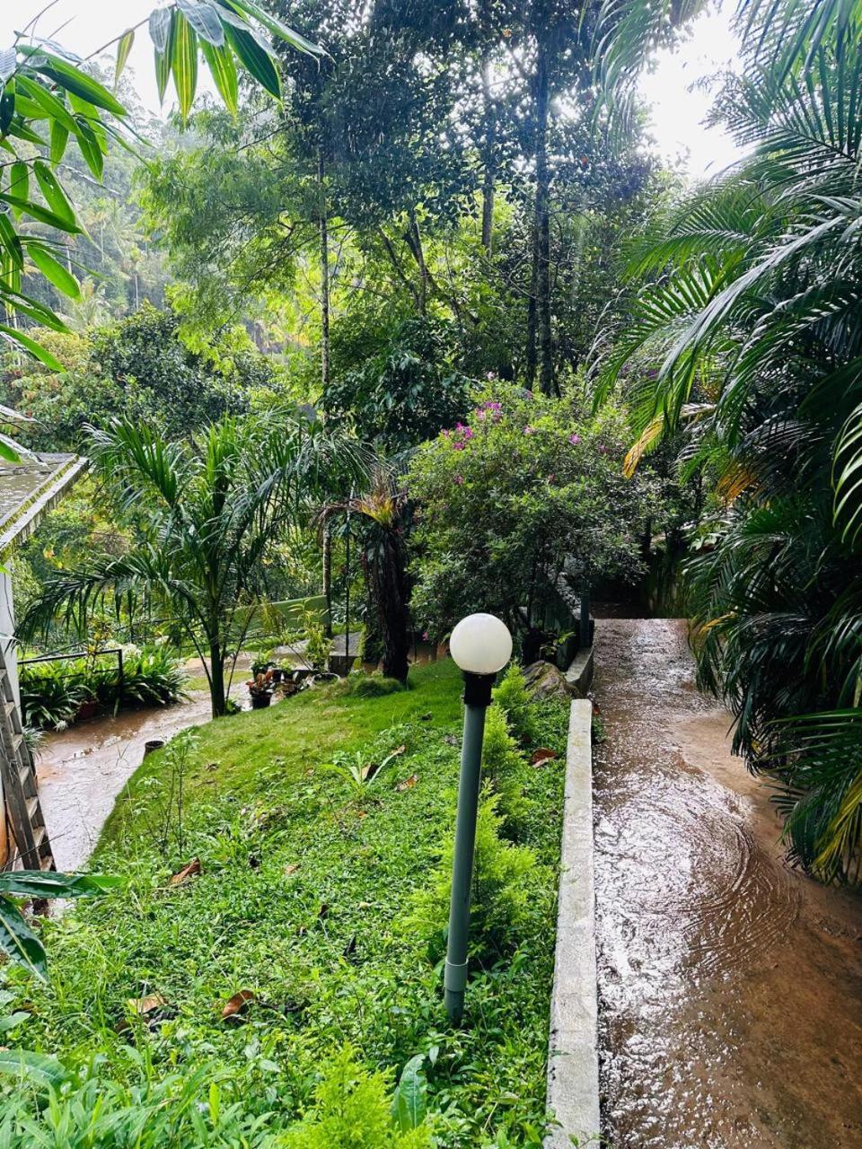 Wild Stories 3* Munnar