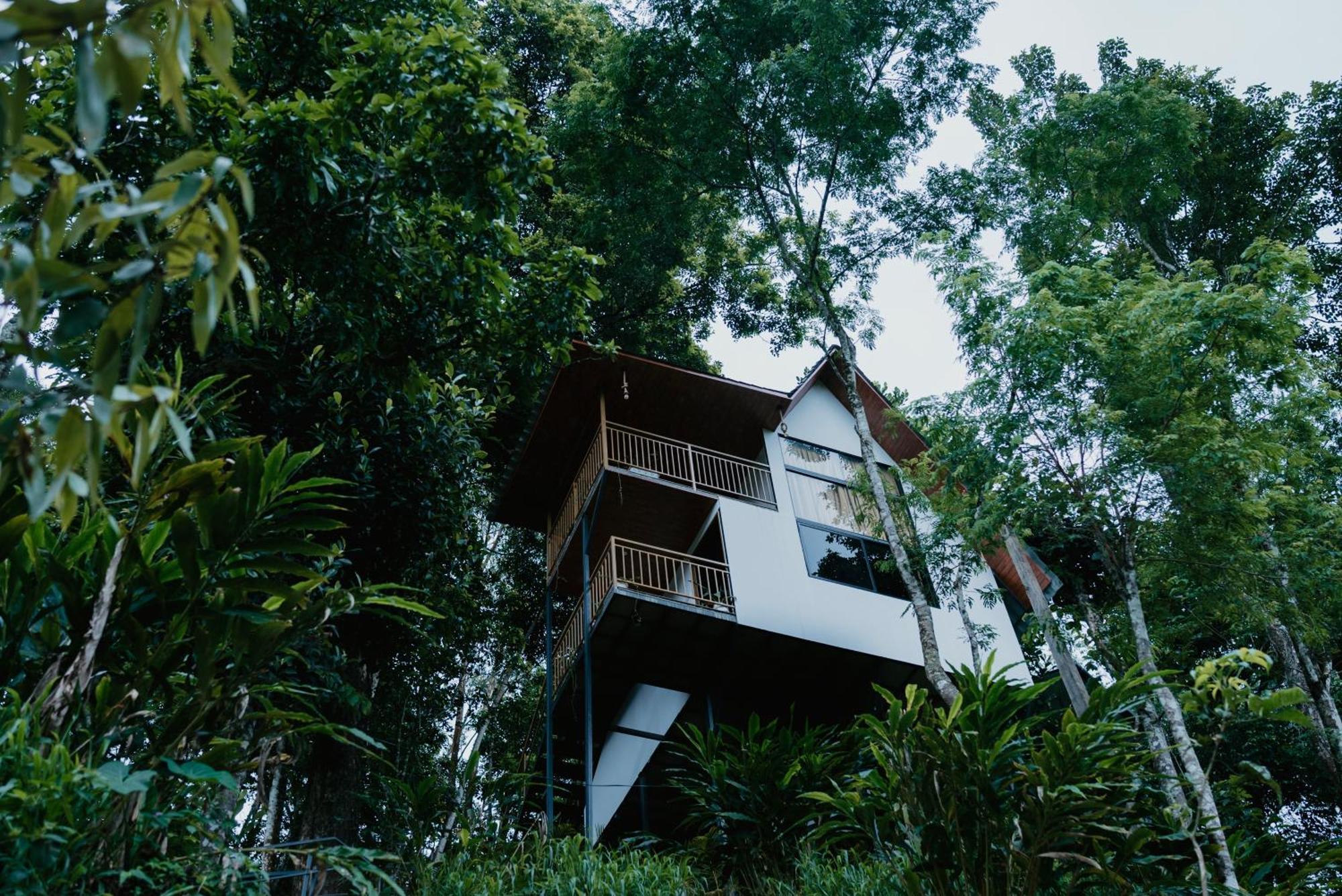 Wild Stories 3* Munnar