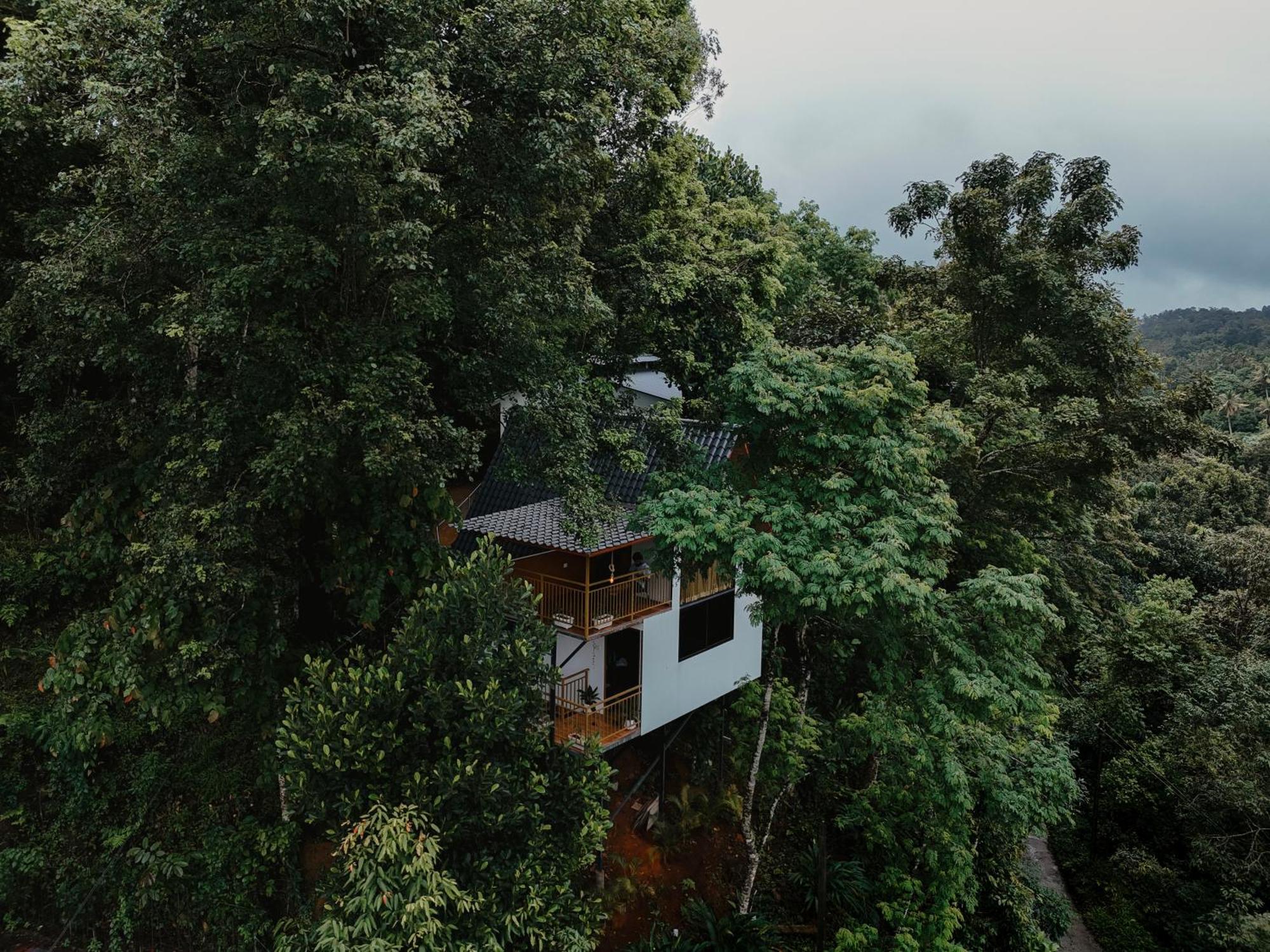 Wild Stories Hotel Munnar