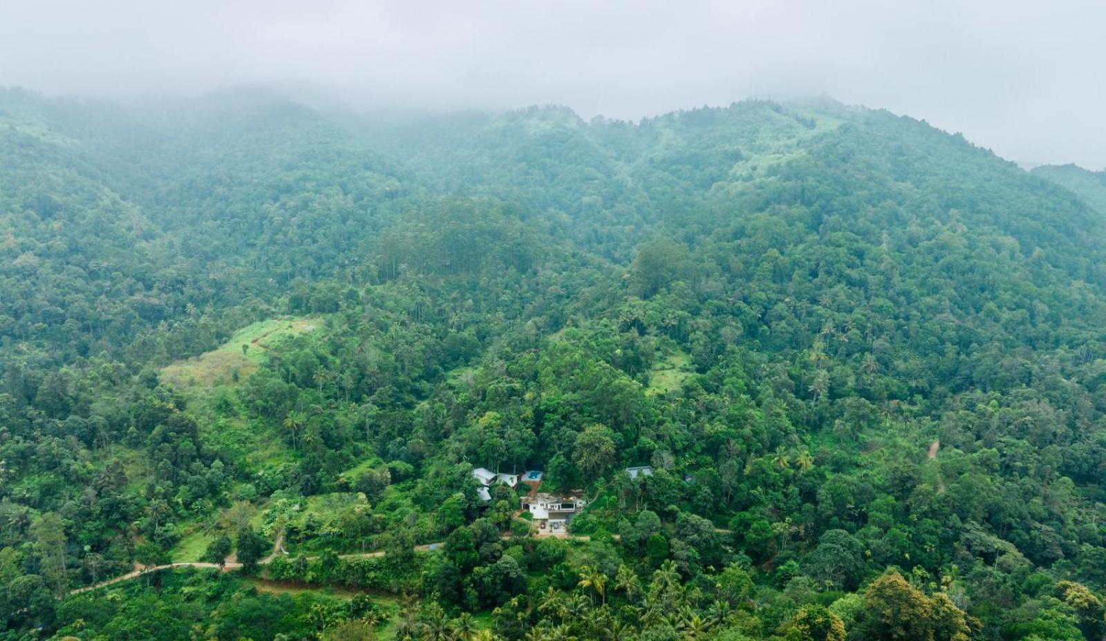 Hotel Wild Stories Munnar