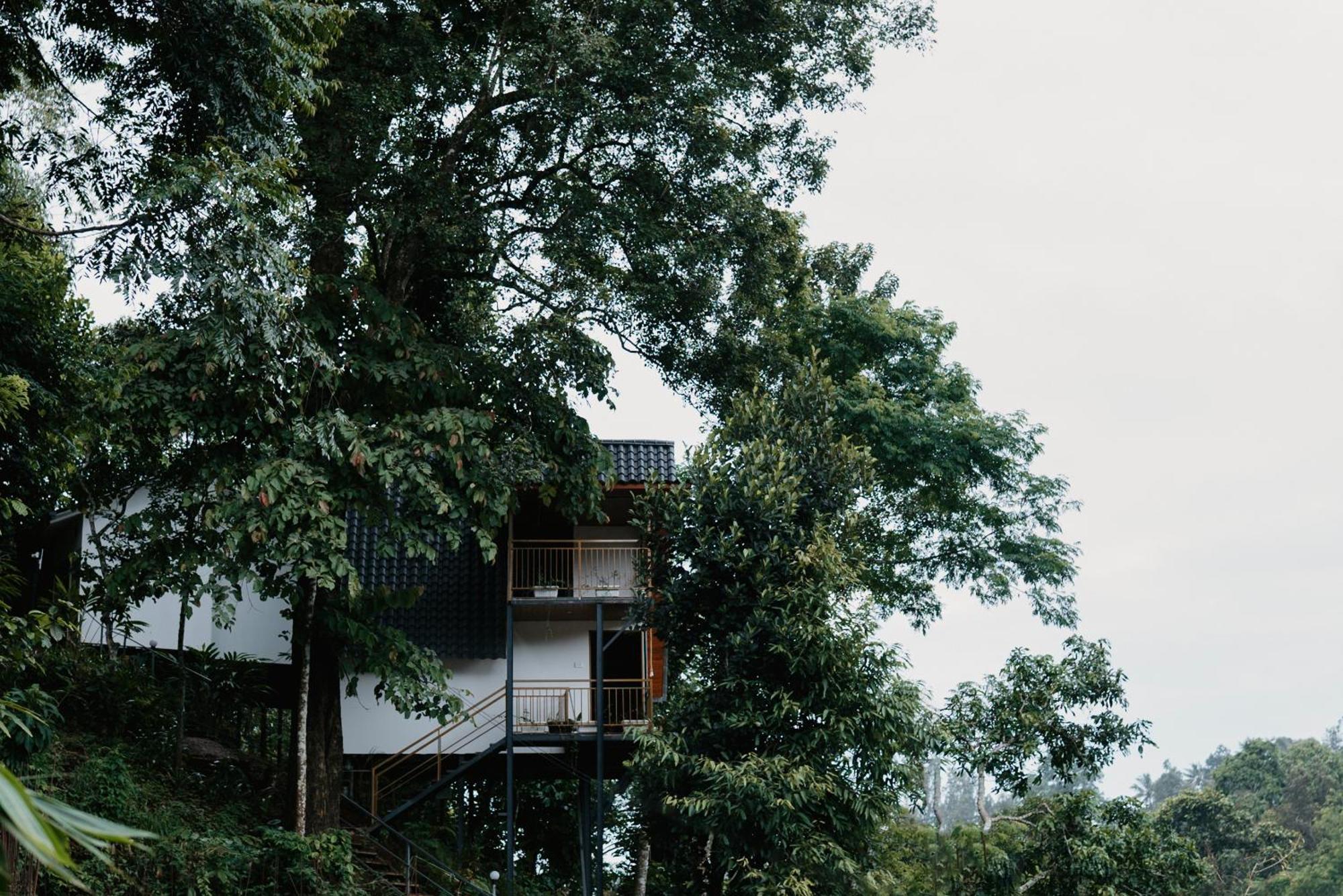 Hotel Wild Stories Munnar