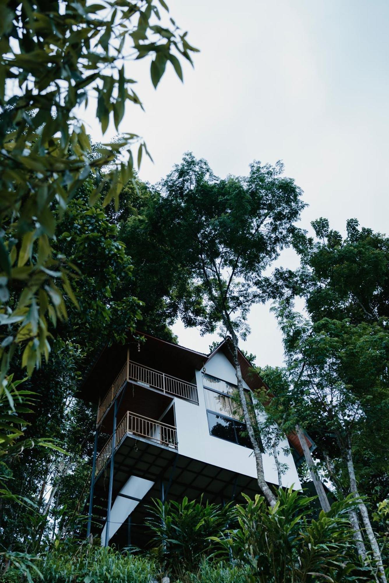 Hotel Wild Stories Munnar