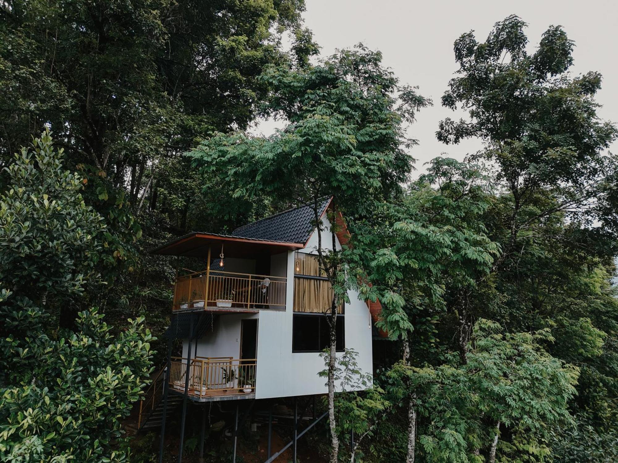 Wild Stories Hotel 3*