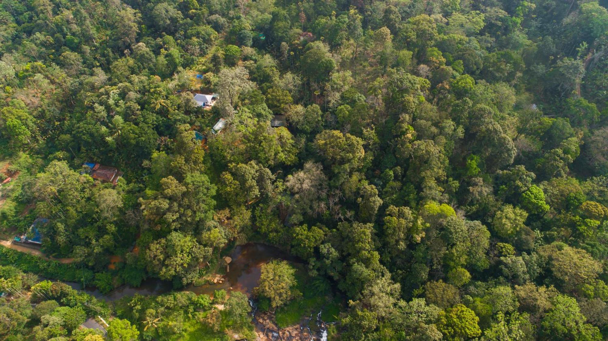 Resort Ela Ecoland Nature Retreat 3*