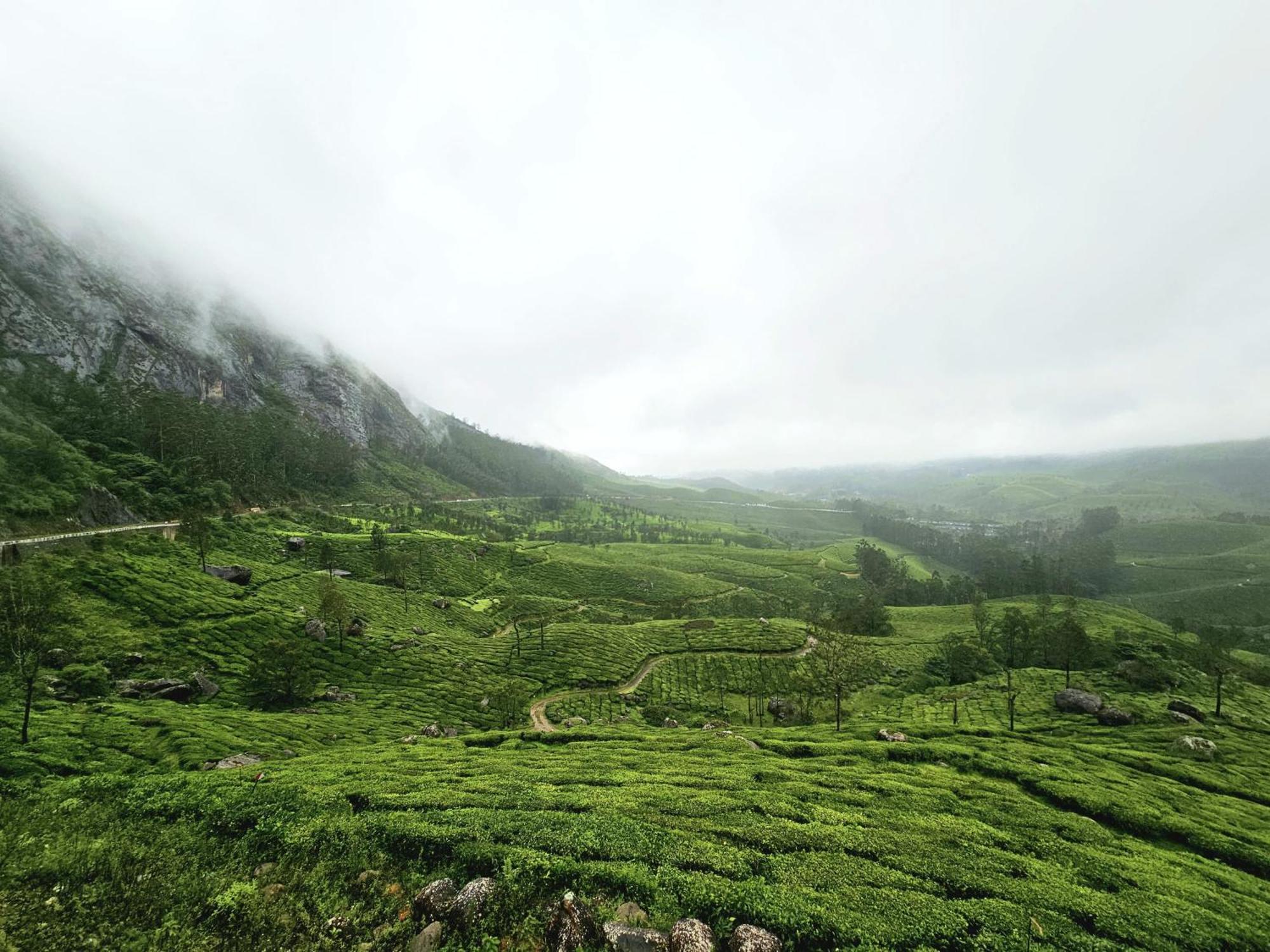 Bethel Varkis Resort Munnar